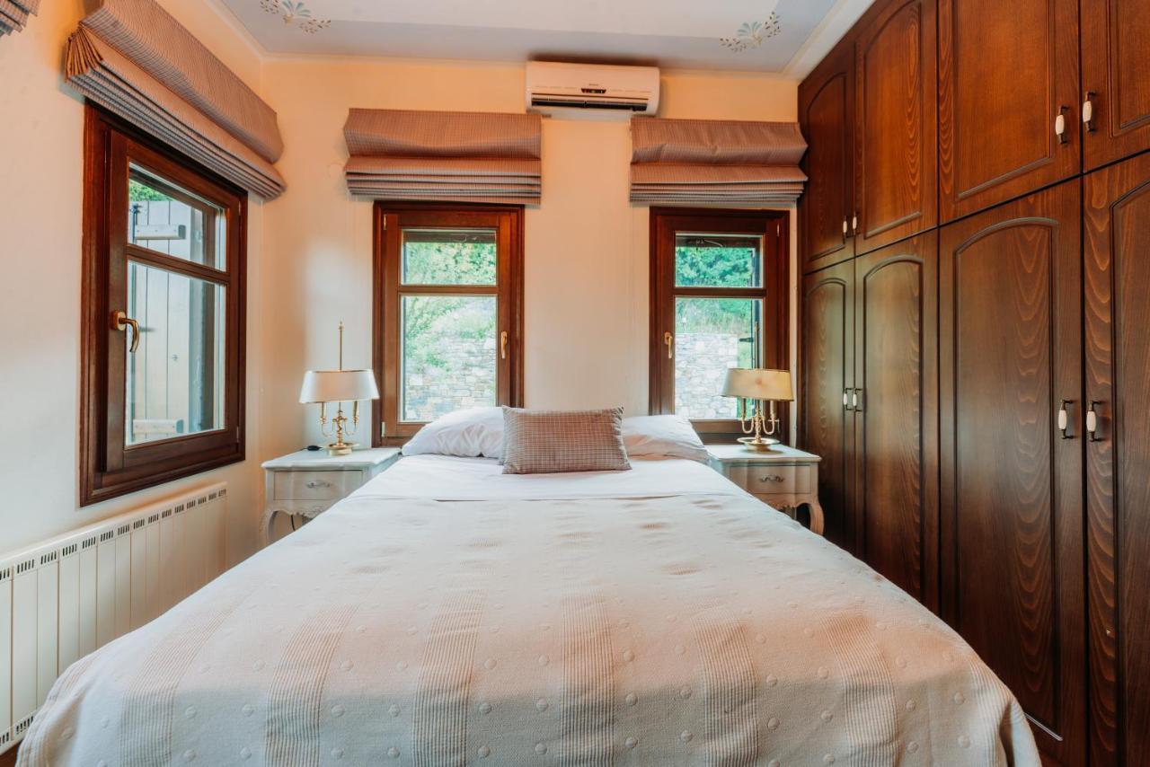 Elysian Luxury Villa Pelion Tsagkarada Buitenkant foto